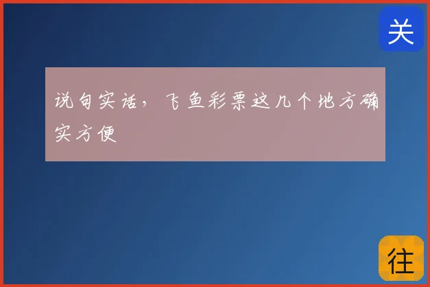 说句实话，飞鱼彩票这几个地方确实方便